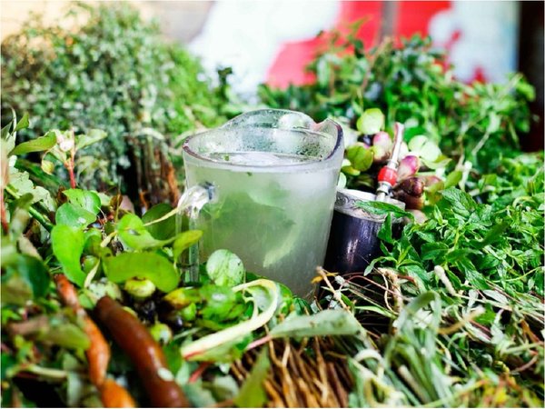 Remedios yuyos: ¿Cómo aliviar la resaca de Año Nuevo?