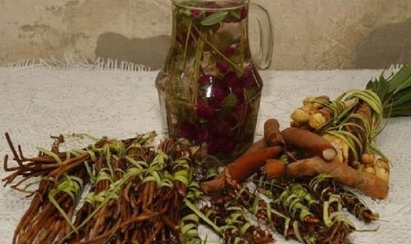 "Terere yorador": Salud Pública recomienda consumo con moderación de yuyos