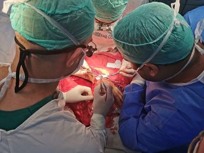 Mexicanos estudian proteína supresora de tumores cancerígenos en hígado - Ciencia - ABC Color