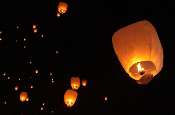 Lámparas voladoras habrían causado incendio en zoológico que mató a 30 animales | Noticias Paraguay