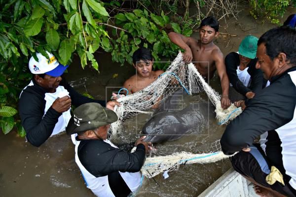 China prohíbe la pesca en el Yangtsé, tercer río más largo del mundo - Mundo - ABC Color