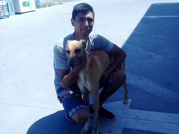 Emotivo reencuentro entre un perro perdido y su dueño
