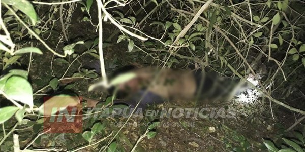 CAP. MIRANDA: JOVEN SE ARROJÓ DESDE LO ALTO DE UN ÁRBOL PARA SUICIDARSE