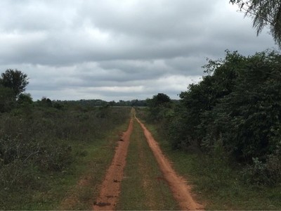 Asesinan a tiros a dos hombres en San Pedro del Paraná » Ñanduti