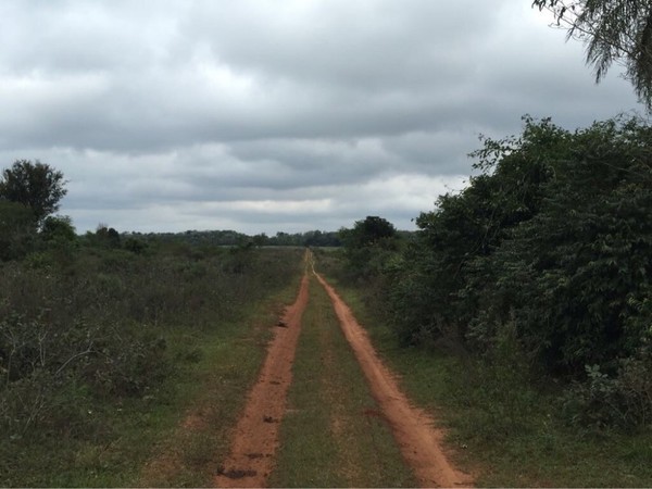 Asesinan a tiros a dos hombres en San Pedro del Paraná » Ñanduti