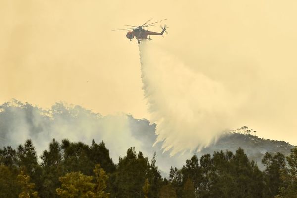 Éxodo masivo por amenaza de recrudecimiento de incendios en Australia - Mundo - ABC Color