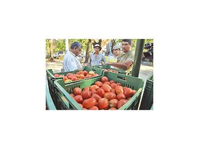 MAG creará centros de comercialización para productores frutihortícolas