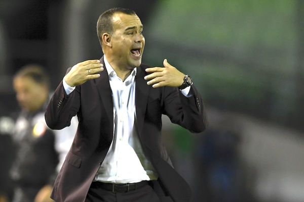 Corrieron al técnico Dudamel