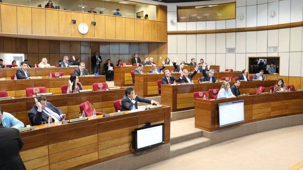 Cámara de Senadores rechaza el aborto y el matrimonio igualitario