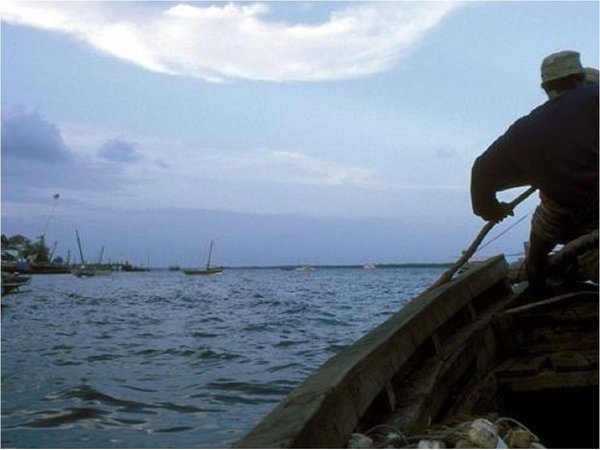 China prohíbe pescar en el Yangtsé, tercer río más largo del mundo