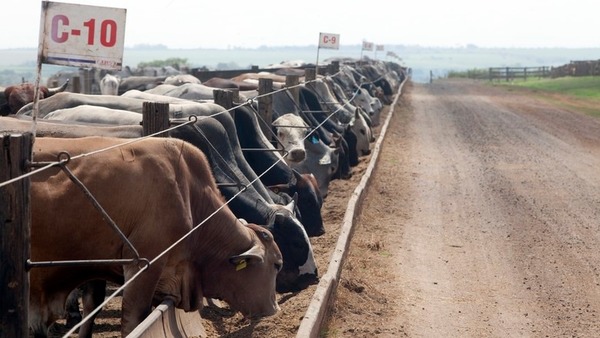 Chile y Rusia pagan menos por carne paraguaya debido a presión de Brasil