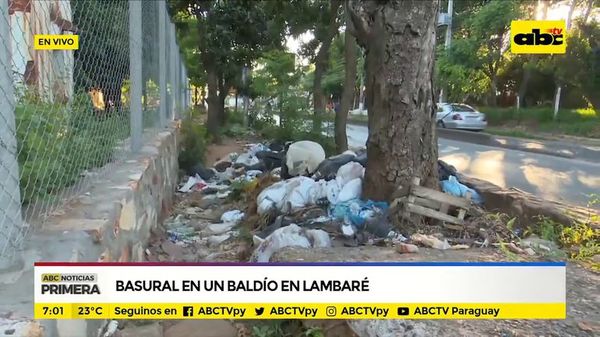 Basural en un baldío en Lambaré - ABC Noticias - ABC Color