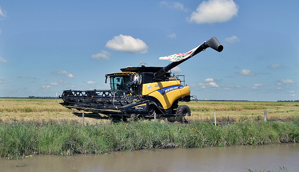 Presidente ratifica apuesta al sector productivo durante inicio de siembra de arroz | .::Agencia IP::.