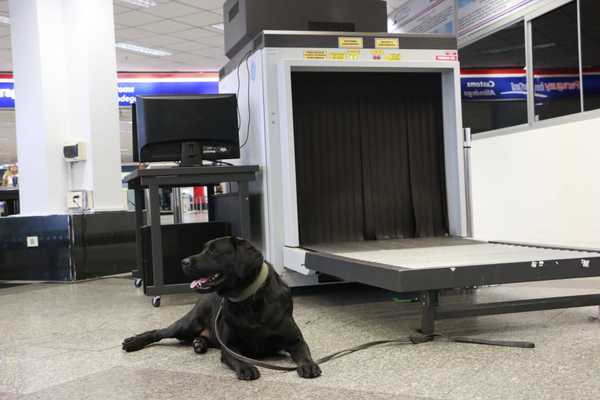 'Rocky' ayuda a incautar cerca de 8 kilos de cocaína en Aeropuerto Silvio Pettirossi.