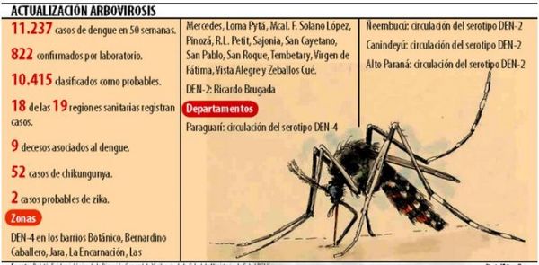Al menos 53 personas por semana se hospitalizan a causa de dengue