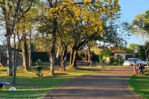 Anuncian altas temperaturas y chaparrones dispersos