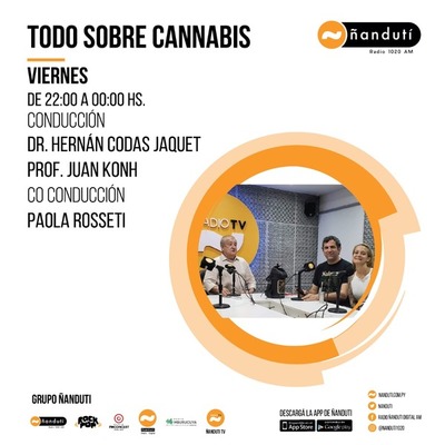 Todo sobre cannabis con Hernán Codas Jaquet, Juan Khon y Paola Rosseti » Ñanduti