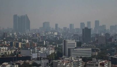 Contaminación ambiental agudiza hasta 20 % síntomas de la rinitis alérgica » Ñanduti