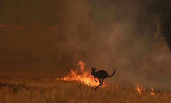 Australia moviliza 3.000 reservistas ante crisis de incendios catastróficos » Ñanduti