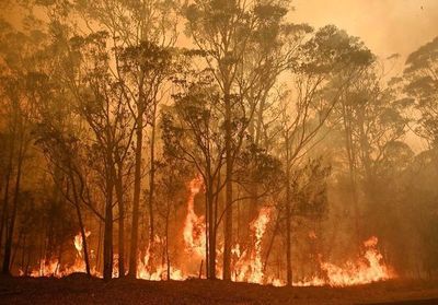 Australia moviliza 3.000 reservistas ante incendio - Internacionales - ABC Color
