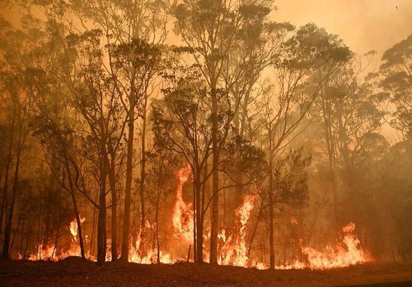 Australia moviliza 3.000 reservistas ante incendio - Internacionales - ABC Color