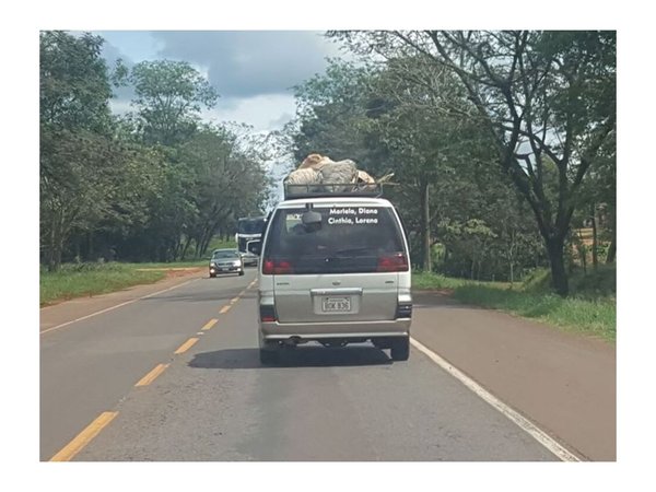 Los tuku karu de Año Nuevo volvieron con bolsas llenas