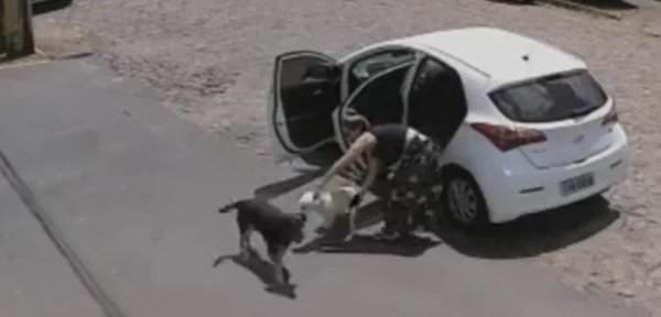 ¡Inhumano! Abandonó a un perrito que le faltaban las patitas | Noticias Paraguay