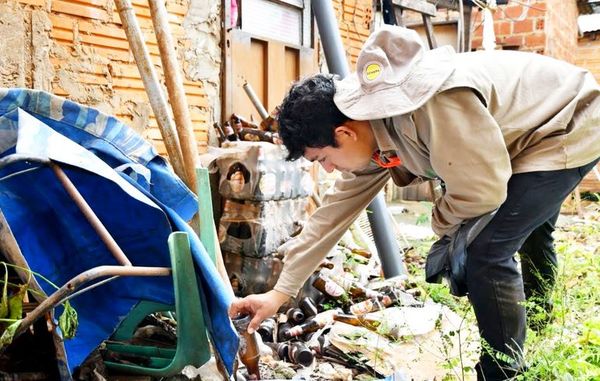 En 10 barrios de Capital se concentran casos de dengue - Locales - ABC Color