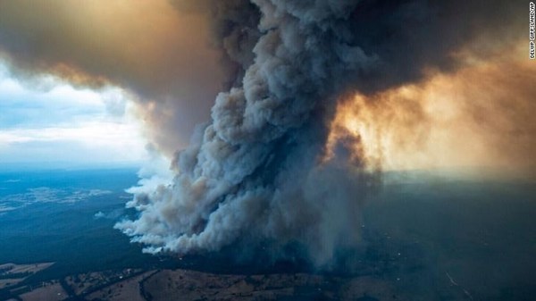 LA DEVASTACIÓN DE LOS INCENDIOS EN AUSTRALIA