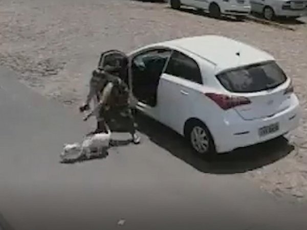 Video muestra cómo una mujer abandona a un perro discapacitado