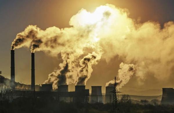 Más de 11.000 científicos de todo el mundo piden declarar la 'emergencia climática' - SNT