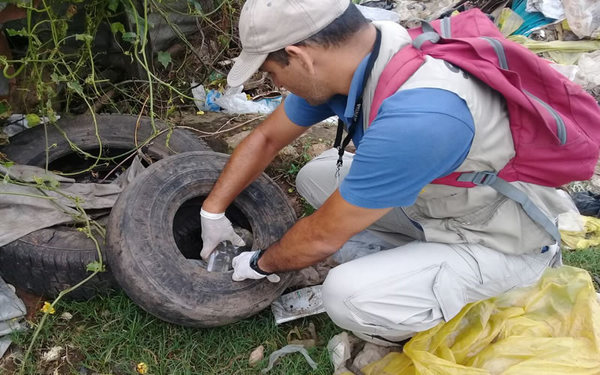 Por semana se tienen 1.200 notificaciones sobre sospechosos de dengue