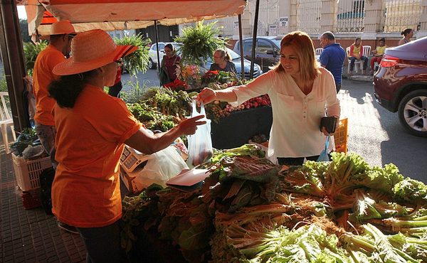 Nuevo sistema tributario apunta a facilitar formalización de micro y pequeños comerciantes | .::Agencia IP::.