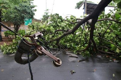 Árboles caídos y cortes de energía tras fuerte temporal
