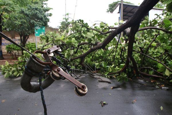 Árboles caídos y cortes de energía tras fuerte temporal
