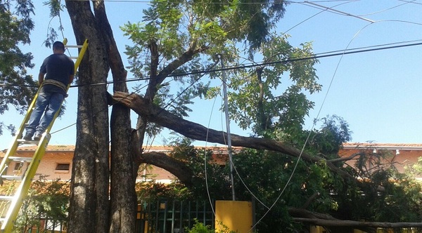 Tormenta deja a miles de usuarios sin energía eléctrica