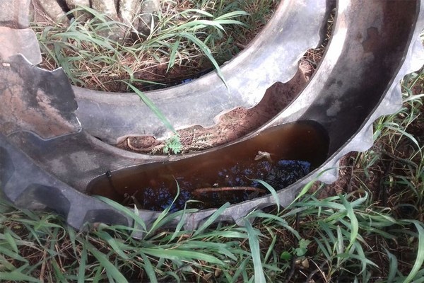 Cuestionan poco interés del Gobierno en la lucha contra el dengue - ADN Paraguayo