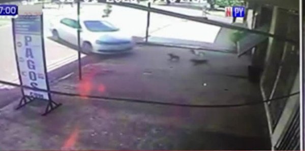 Así atacaron sicarios a pareja en Pedro Juan | Noticias Paraguay