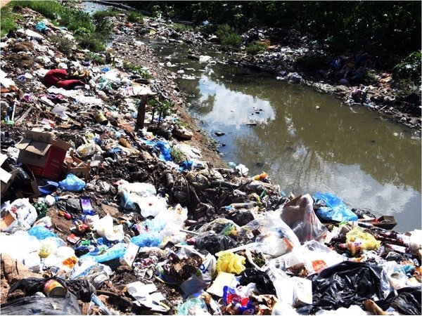 Arroyos colmatados de basura son  criaderos de lujo para los mosquitos