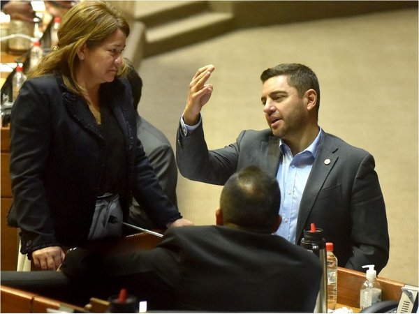 Diputados llevan  un sueldo mínimo por cada día de viaje