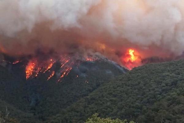 Humo de los incendios de Australia llega a Chile y Argentina » Ñanduti