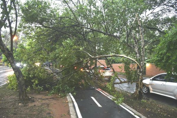 Durante temporal se registraron vientos de hasta 127 km/h - Nacionales - ABC Color