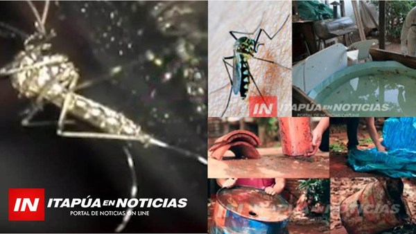 DENGUE: MÁS DE 1.170 PERSONAS AFECTADAS POR EL VIRUS A NIVEL PAÍS