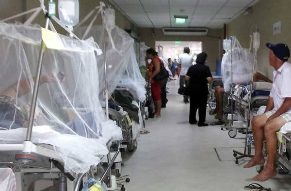 El 94% de los casos de dengue son de la zona metropolitana