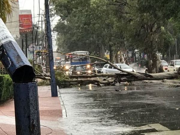 Temporal de ayer dejó a 10.000 usuarios sin energía en la zona metropolitana - ADN Paraguayo