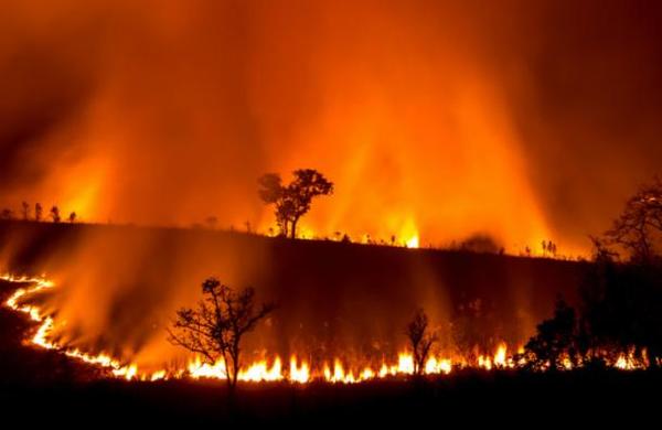 El humo de los incendios en Australia viajó miles de kilómetros y llegó hasta América - SNT