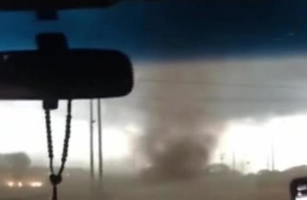 Pánico en Caaguazú tras aparición de un gustnado - SNT