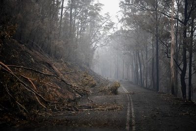 ¡Cerquita! A qué países sudamericanos llegó el humo de los incendios en Australia
