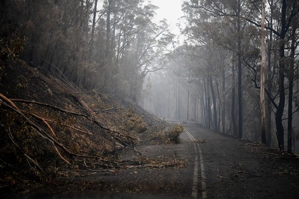 ¡Cerquita! A qué países sudamericanos llegó el humo de los incendios en Australia