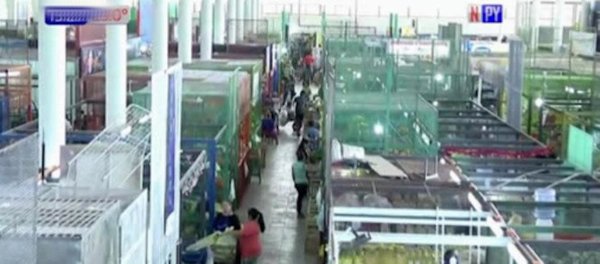 Denuncian falta de agua en el Bloque C del Abasto | Noticias Paraguay